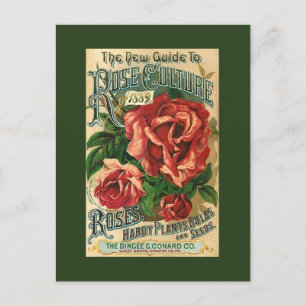 Antike Vintage-Rosen-Gärtnerei-Gartenkatalog-PCs Feiertagspostkarte