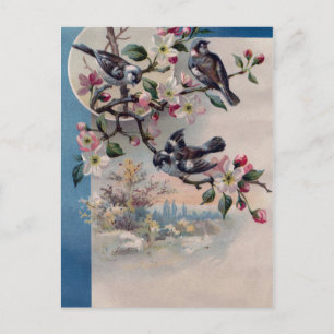 Antike Vögel und Blüten Postkarte