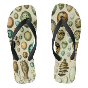 Antike Vogeleier Französische Fischei-Kunst Flip Flops