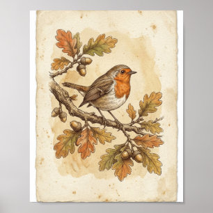 Antike Vogelskizze Französisch I Poster