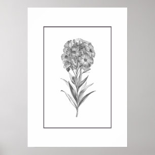 Antike Wandblumen-Radierdruck Poster