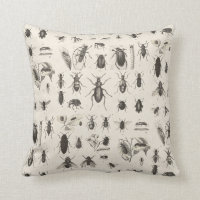Antike Wanzen-und Insekten-Entomologie