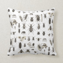 Antike Wanzen-und Insekten-Entomologie