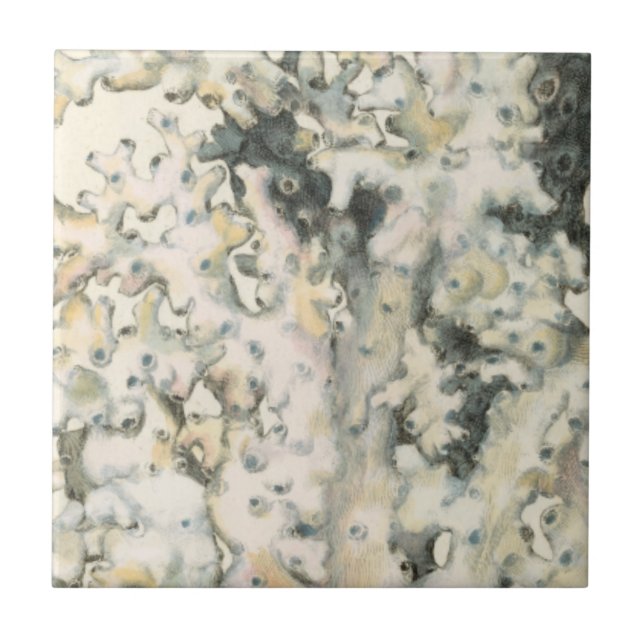 Antike Wasserfarbenkoralle Fliese (Vorderseite)