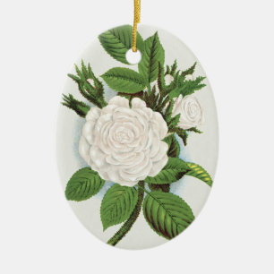 Antike Weiße Moosrosen Cottagecore Botanische Kuns Keramik Ornament
