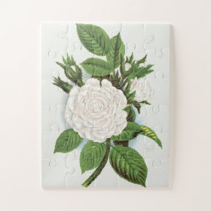 Antike Weiße Moosrosen Cottagecore Botanische Kuns Puzzle