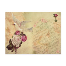 Antike Weiße Taube Shabby Chic Postkarte