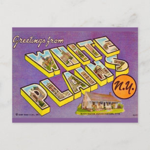 Antike White Plains NY Grußpostkarte Postkarte