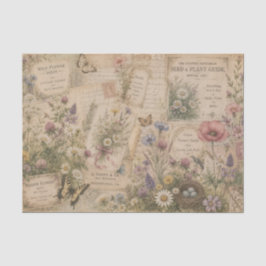 Antike Wiesenblumen-Wildblumen-Samenkataloge  Seidenpapier