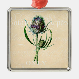Antike Wildblume Distel Schottland Vintage 1902 Silbernes Ornament