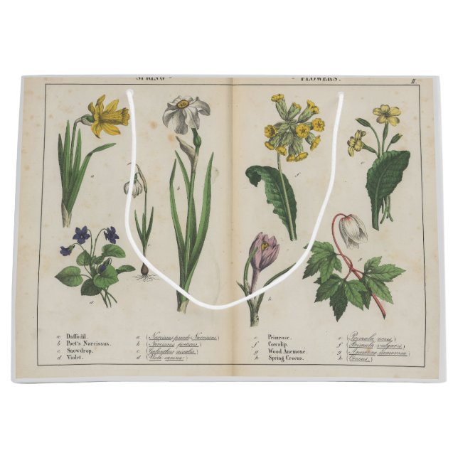 Antike Wildblume Rosa und grüne Geschenktüte (Vorderseite)