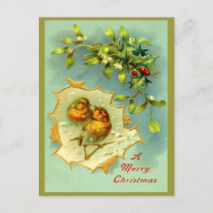 Antike Wintervögel Weihnachtspostkarte Feiertagspostkarte