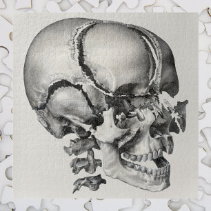 Antike Wissenschaft Menschliche Anatomie, Antiker  Puzzle