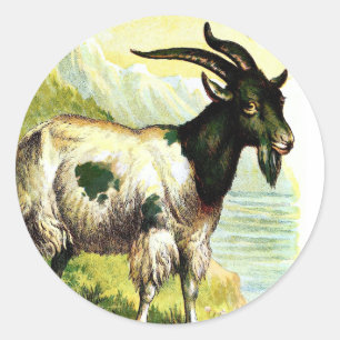 Antike Zeichnung: Die Alpenziege Runder Aufkleber