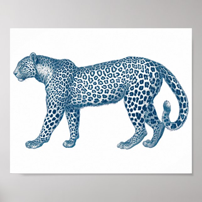 Antike Zeichnung eines Leoparden Poster (Vorne)