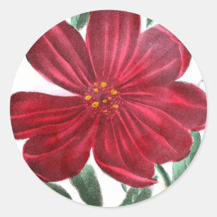 Antike Zeichnung: Morgenblume und Pfingstrose Runder Aufkleber