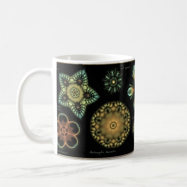 "Antiken-" Diatomee-Kaffee-Tasse Tasse (Links)
