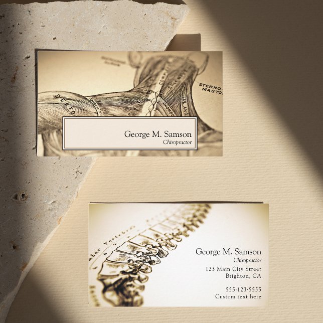 Antiker anatomischer Illustrator Visitenkarte (Von Creator hochgeladen)