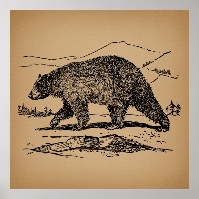 Antiker Bär Art Illustrierter Vintager Bär Poster (Vorne)
