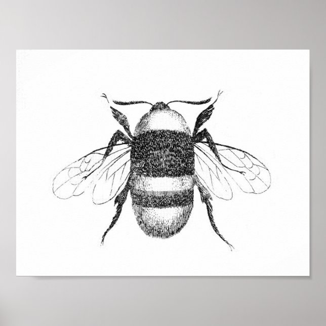 Antiker Bienen-Druck Poster (Vorne)