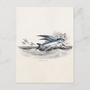 Antiker Blaue Fliegende Fische In Ozeanwellen 1800 Postkarte