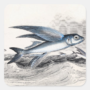 Antiker Blaue Fliegende Fische In Ozeanwellen 1800 Quadratischer Aufkleber