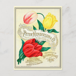 Antiker Blumensamen-Katalog für den Garten Postkarte
