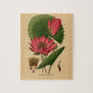 Antiker Botanischer Druck Rosa Wasserlilie Lotus Puzzle