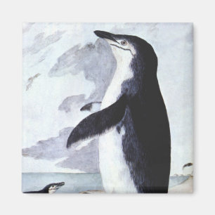 Antiker Chinstrap-Pinguin, Vögel aus der Antarktis Magnet