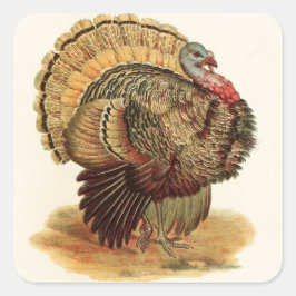 Antiker die Türkei-Illustration Erntedank Quadratischer Aufkleber