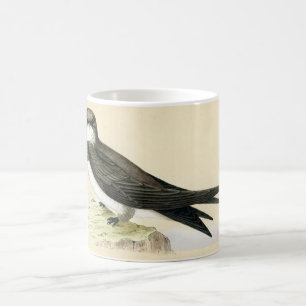 Antiker Druck von einem alpinen schnellen Tasse