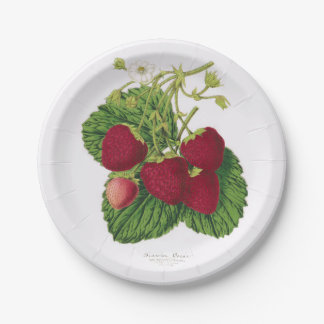 Antiker Erdbeerpicknick-Pappteller Pappteller