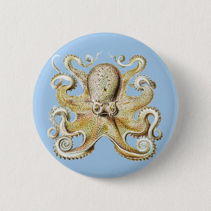 Antiker Ernst Haeckel Oktopus Nautische Meerestier Button