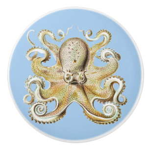 Antiker Ernst Haeckel Oktopus Nautisches Meer Lebe Keramikknauf
