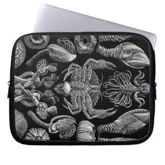 Antiker Haeckel-Krebs Laptopschutzhülle