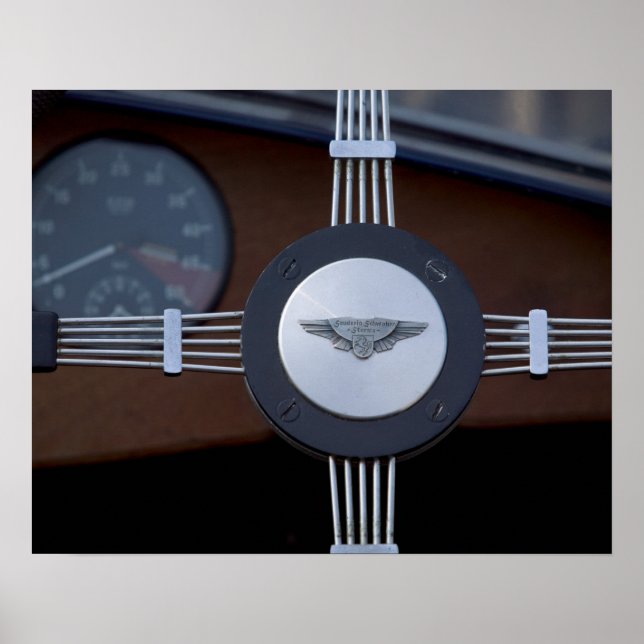 antiker Jaguar 3 Poster (Vorne)