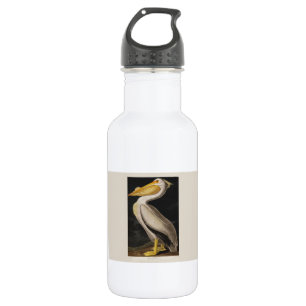 Antiker John James Audubon Weißer Pelikan Küste Edelstahlflasche