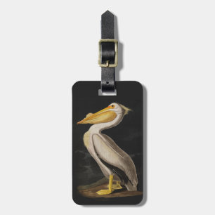 Antiker John James Audubon Weißer Pelikan Küste Gepäckanhänger