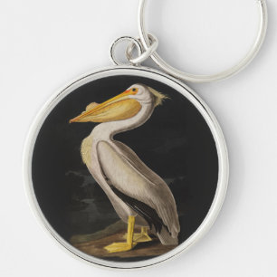 Antiker John James Audubon Weißer Pelikan Küste Schlüsselanhänger