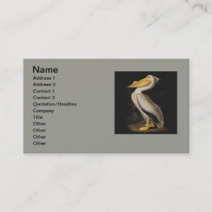 Antiker John James Audubon Weißer Pelikan Küste Visitenkarte