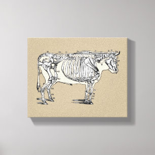 Antiker Kuh Skeleton Knochen Spaß Leinwanddruck