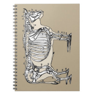 Antiker Kuh Skeleton Knochen Spaß Notizblock