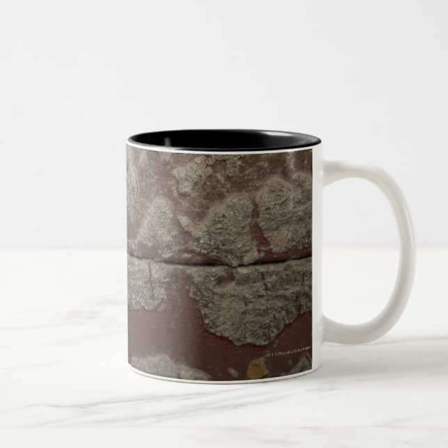 Antiker Metallverschluß auf Steinwand Zweifarbige Tasse (Rechts)