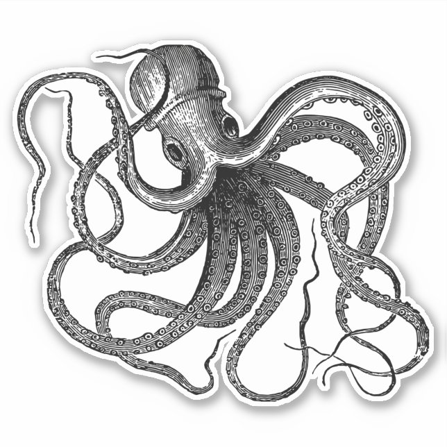 Antiker Oktopus Schwimmen Aufkleber (Vorderseite)