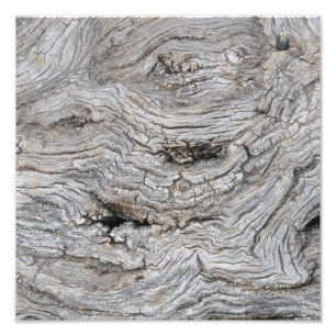 Antiker Olivenbaumrinden-Textur-Fotoabzug Fotodruck