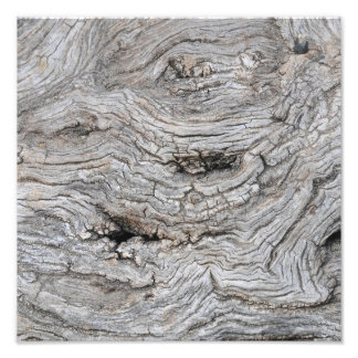 Antiker Olivenbaumrinden-Textur-Fotoabzug Fotodruck