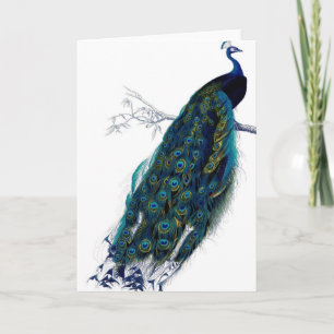 Antiker Pfau Karte