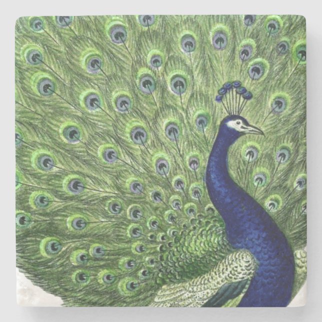 Antiker Pfau Steinuntersetzer (Vorderseite)