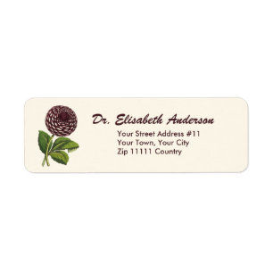Antiker Stich einer lila Kugel-Dahlie