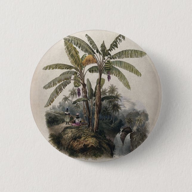 Antiker Tropischer Bananenbaumwald | Vintag Bota Button (Vorderseite)